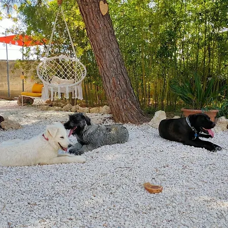 Da Cimonella トッレ・オヴォ