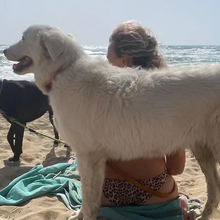 Da Cimonella ベッド・アンド・ブレックファスト