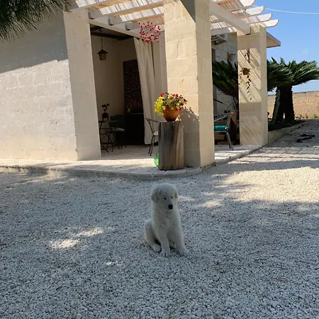 Da Cimonella 3* توريه أوفو