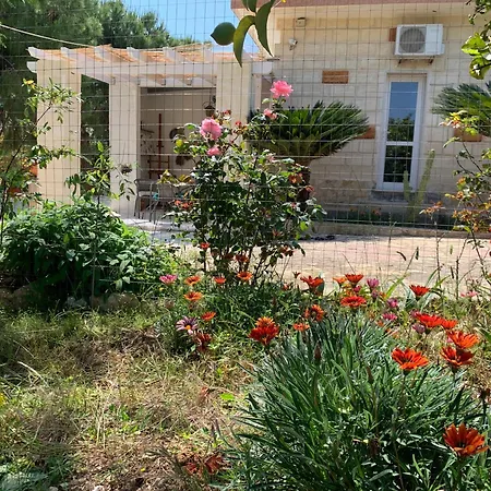 ベッド・アンド・ブレックファスト Da Cimonella