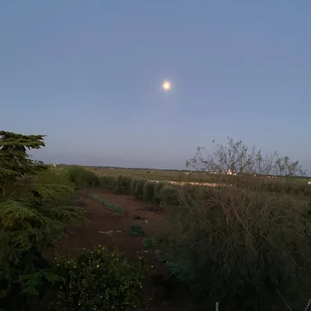 Bed & Breakfast Da Cimonella Torre Ovo