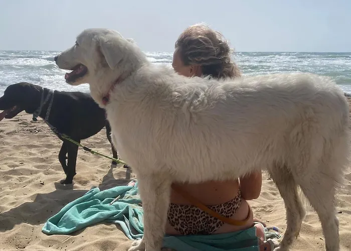 Da Cimonella Bed & Breakfast